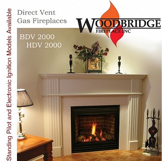 DV2000 Direct Vent Gas Fireplace (27" Viewing Area)